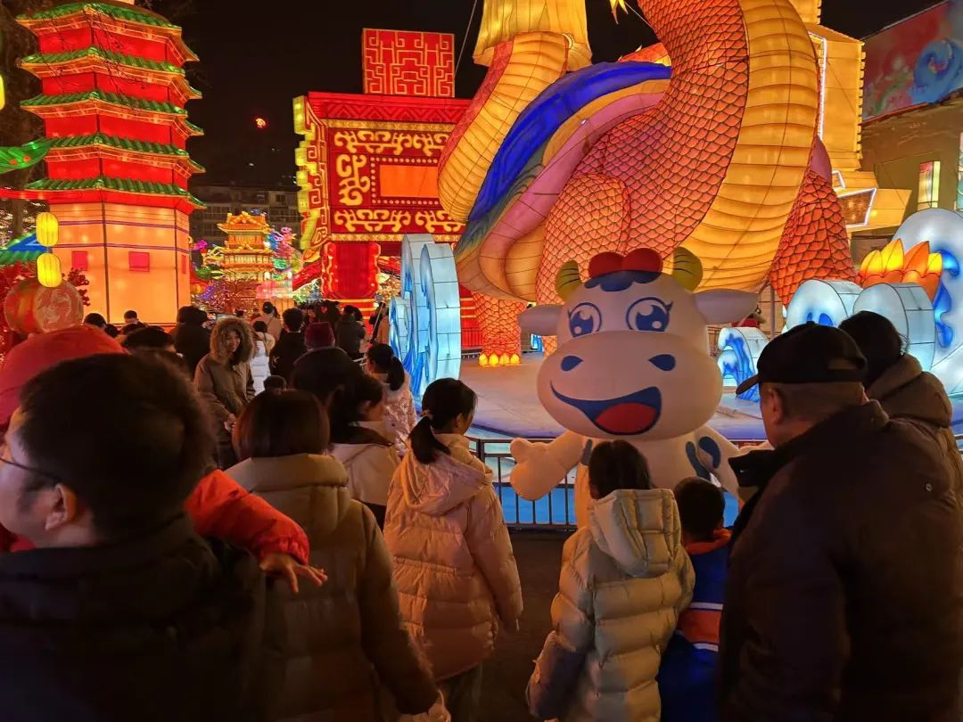央視直播鄭州龍年燈會迎新春，花花牛品牌上大分