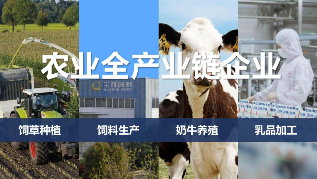 快訊 | 河南省召開培育奶業(yè)重點縣推進奶源基地建設工作座談會