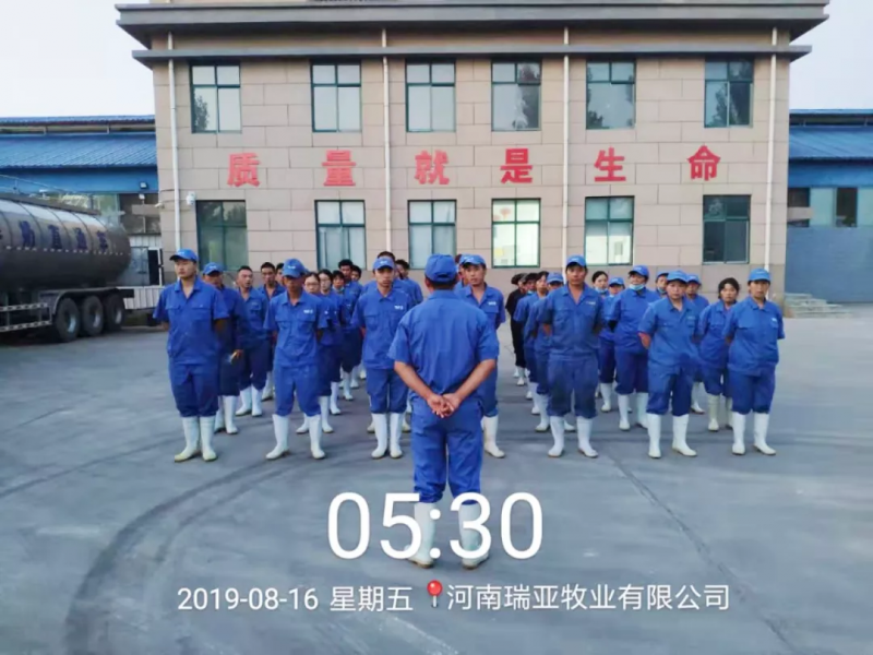 小晨會·大能量——砥礪奮進的花花牛，加油！