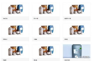 山東天和惠世制藥事故原因 天和惠世制藥公司背景資料