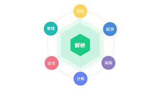 鮮橋訂貨軟件 讓晝夜忙碌的農產品流通商更輕松